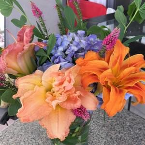 Meet your Posher, Sandy